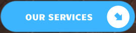 OUR SERVICES